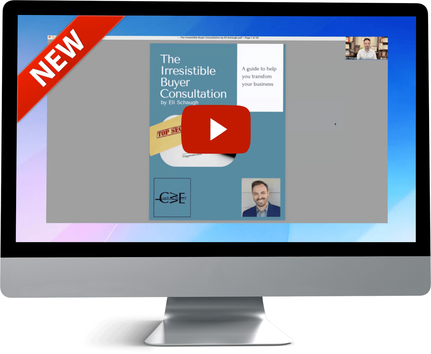 Preview of the irresistible buyer consultation by Eli Schaugh